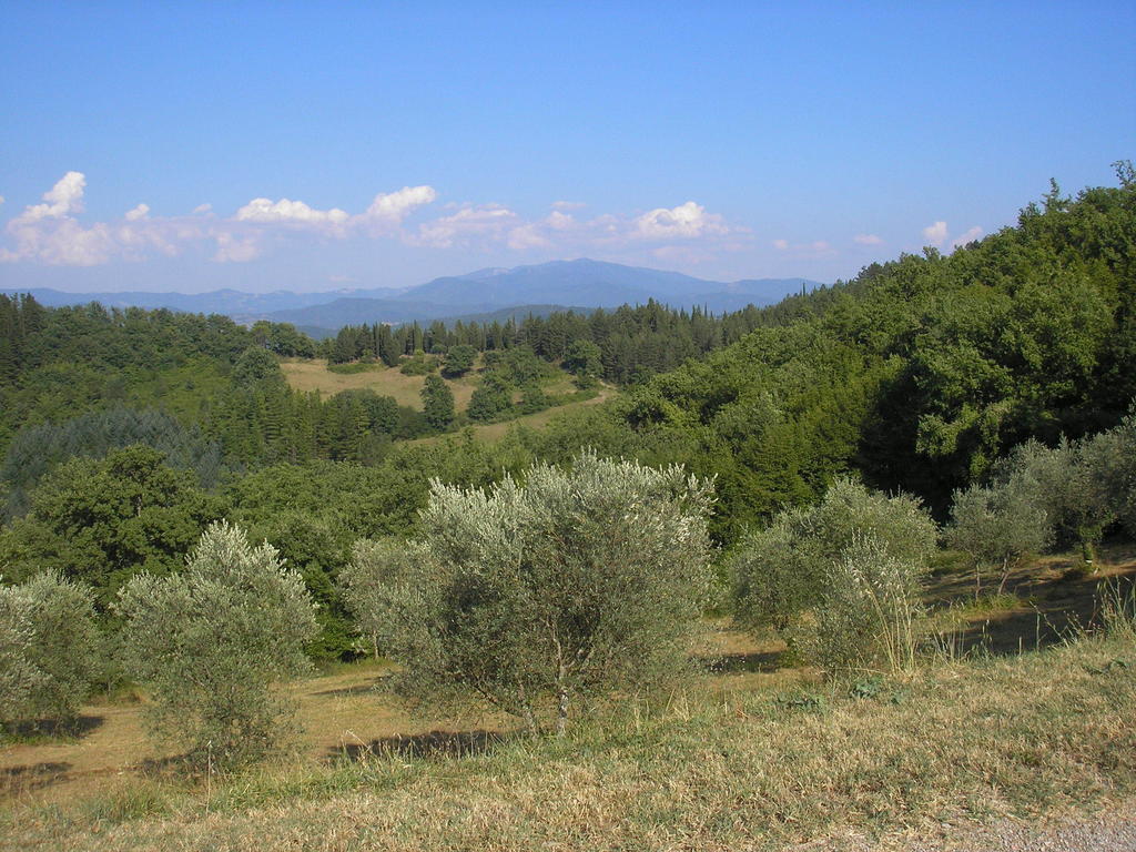 Podere Capitignano Borgo San Lorenzo Kültér fotó